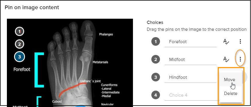 Pin on choice 4.png