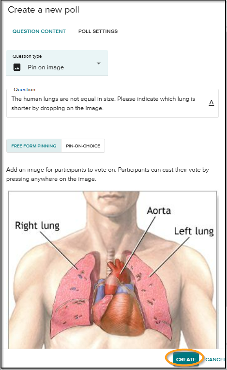 Pin on image 1.png