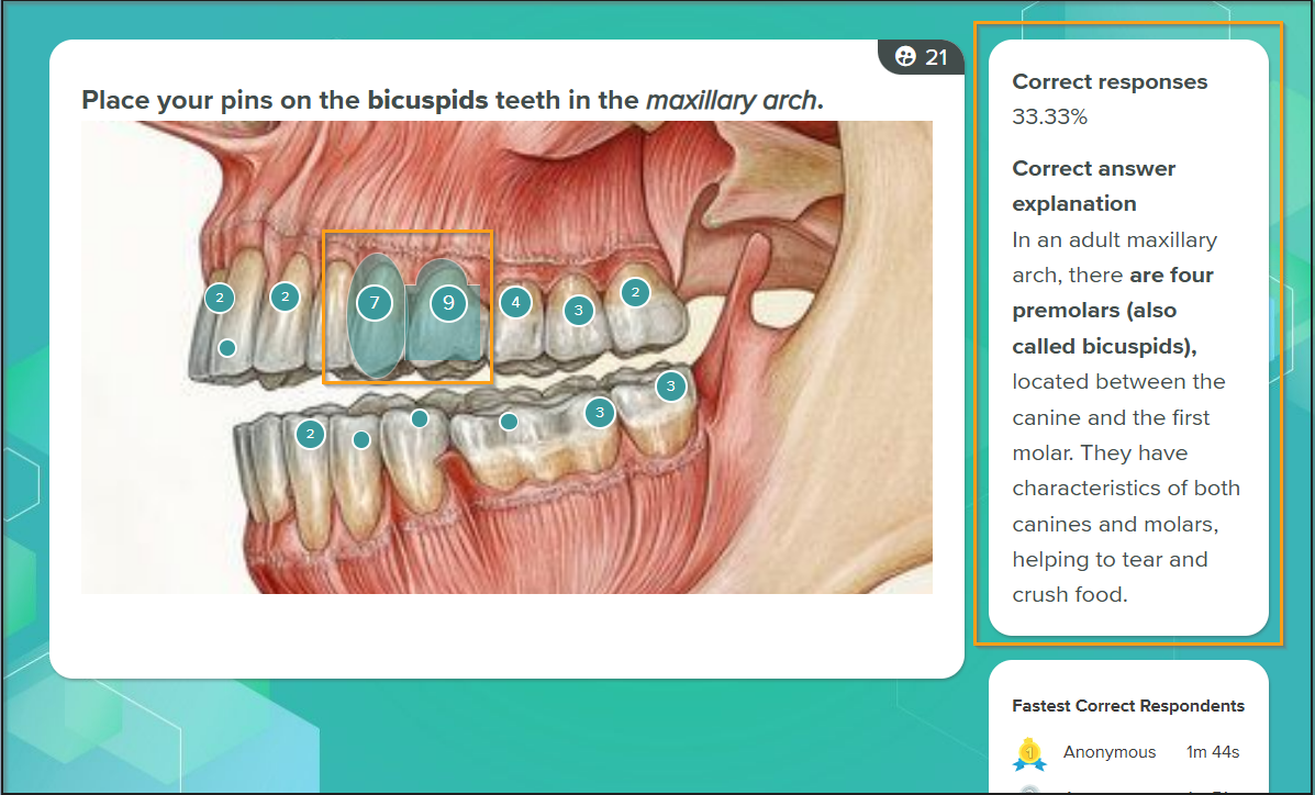 Display correct answer in Pin on image close up.png
