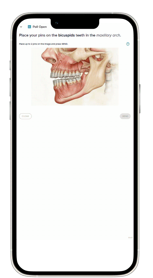 Participant app Pin on image.gif