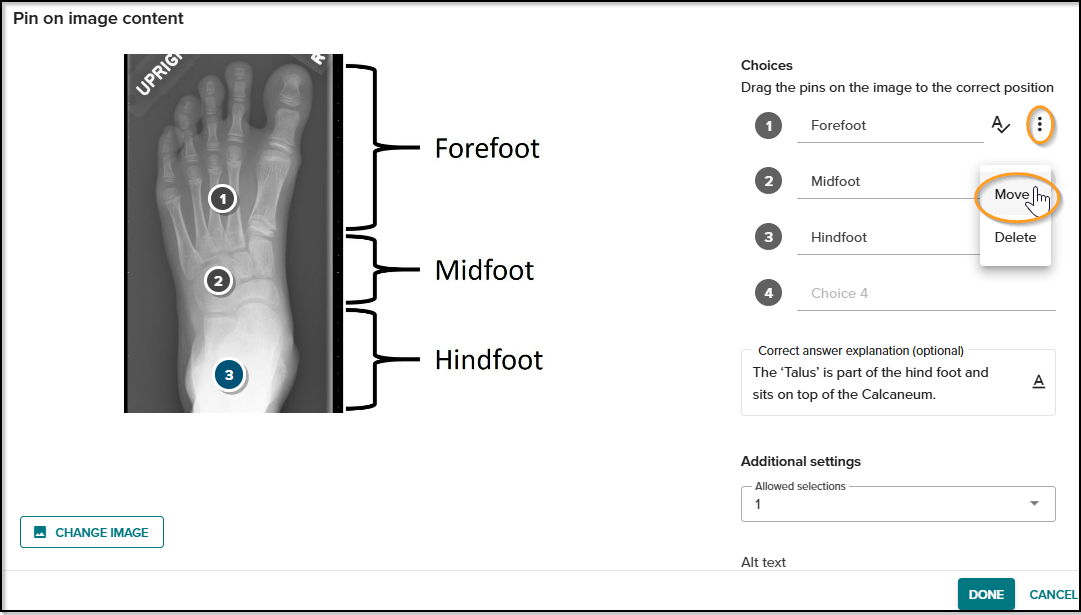 Pin on choice image 3.png