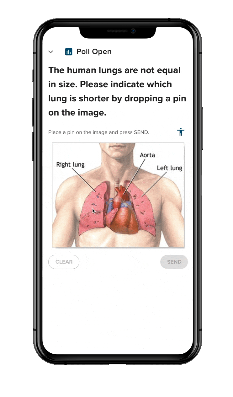 Pin-on-image-vote-on-app2.gif